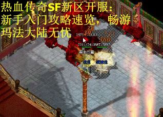 热血传奇SF新区开服：新手入门攻略速览，畅游玛法大陆无忧